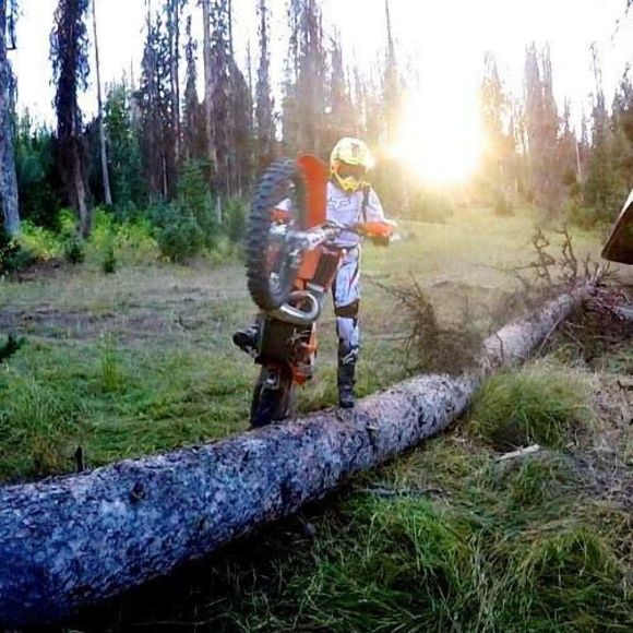 Meet your Posher, Sam - Picture 1 of 1